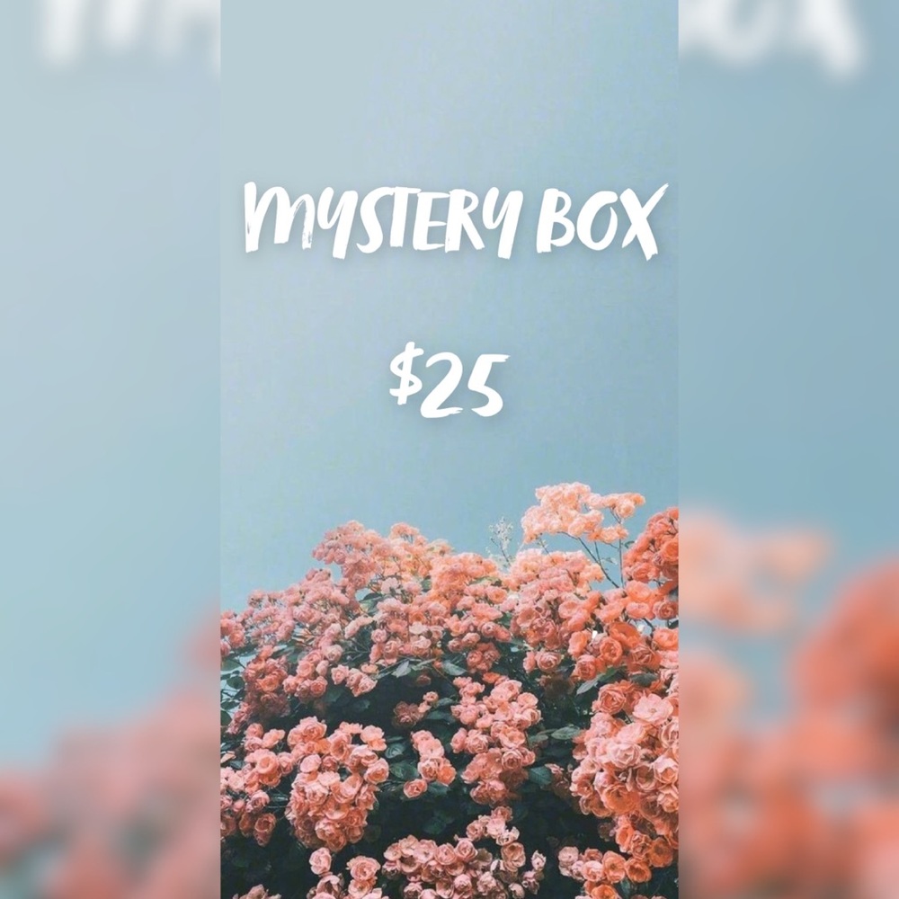 MYSTERY BOX $25